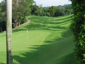 green zoysia tenuifolia en asie